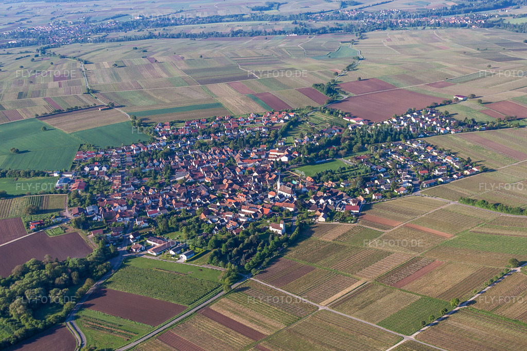 Luftbild: Ortsansicht im Ortsteil Wollmesheim in Landau im Bundesland Rheinland-Pfalz in Deutschland. Foto: IMG_64743.jpg vom 04.05.2014 durch Werner Riehm/FLY-FOTO.de