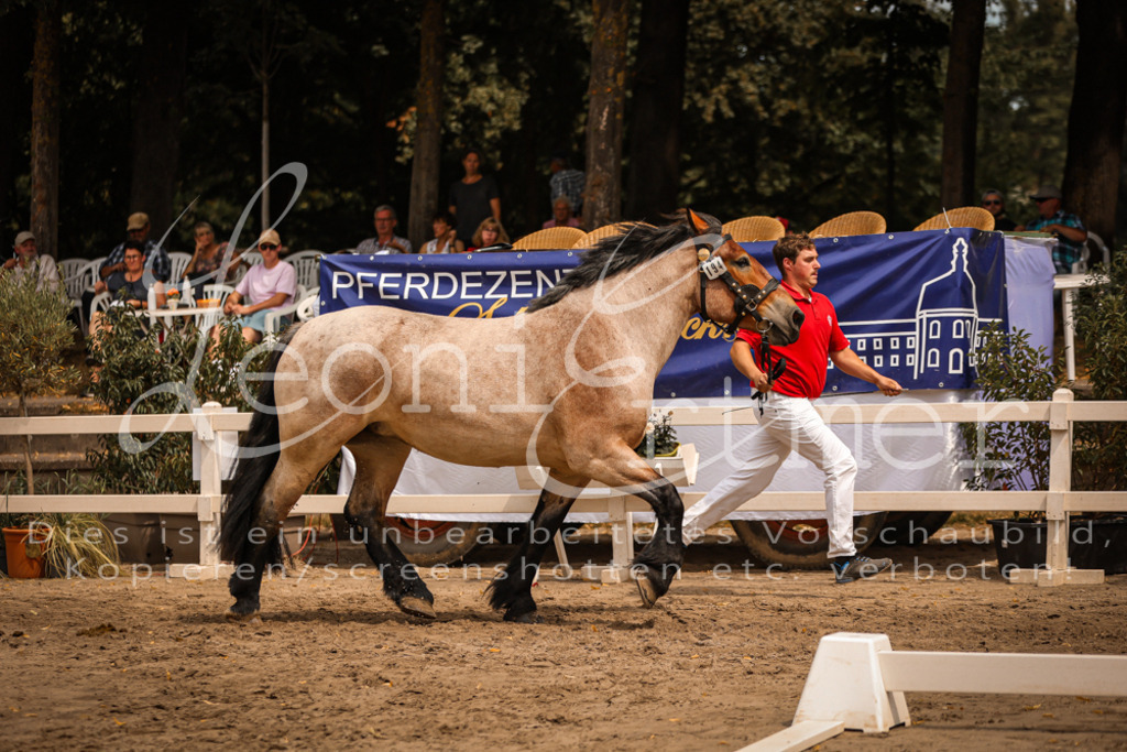 3.Sa00072 | Leoni Ertmer Photography - Realisiert mit Pictrs.com