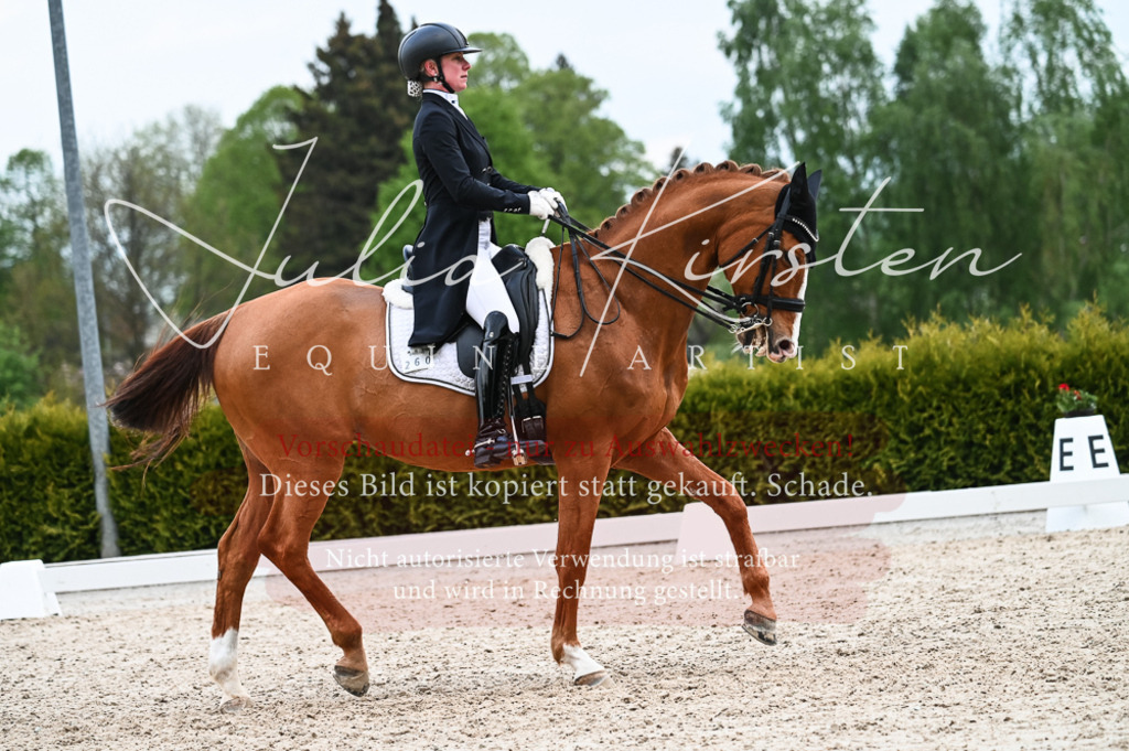 20230513_JK-Röhrsdorf-13-590 | Pferde- und Turnierfotografie in Westsachsen. Pferdeportraits, Auftragszeichnungen und intuitive Kunst.