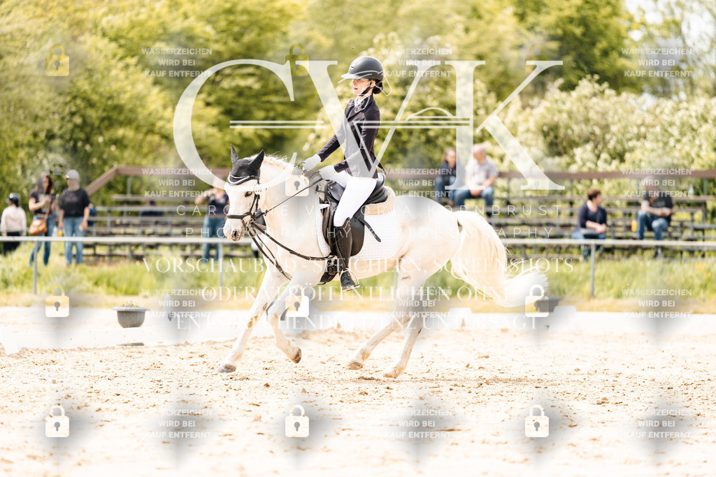 CK902239 | Turnierfotografie Pferdefotografie Trier Rheinland-Pfalz Pferdesport Reitsport Tierfotografie Sportfotografie Pferdevideo Pferdevideografie Equestrianvideography equestrianphotography  - Realisiert mit Pictrs.com