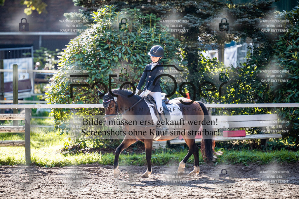 2026-10-Helle-20-4-0016 | Entdecke hochwertige Reitturnierfotos von Foto Oger. Professionell, emotional und authentisch – jetzt Lieblingsmomente im Shop bestellen.Deutschlandweite Turnierfotografie. - Realisiert mit Pictrs.com