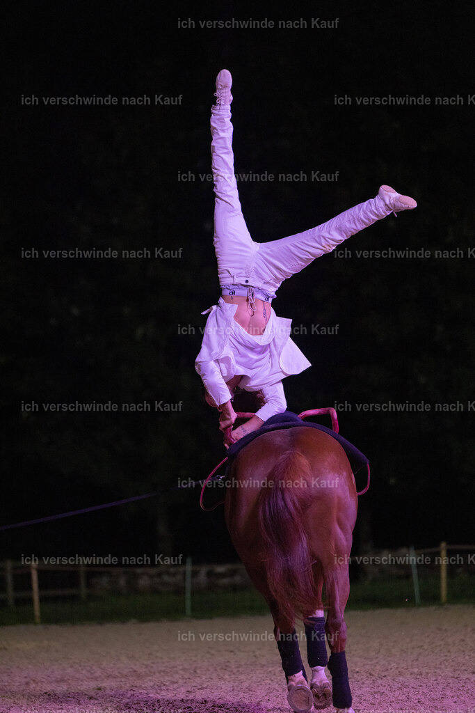 Gala-253 | working equitationturnier fotograf videograf stoibphotography marixx film working equitation deutschland reitsport turnierfotografie eventfotografie equestrian events
