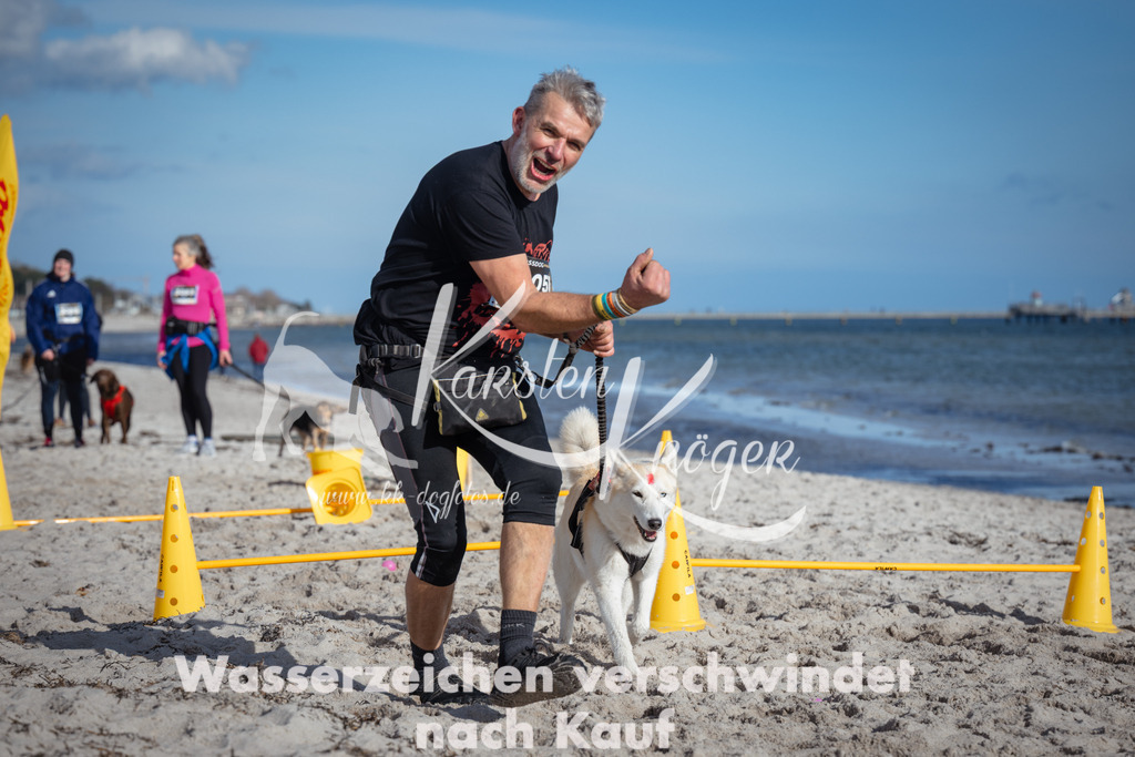 1345_ZZ93337 | kk-dogfotos