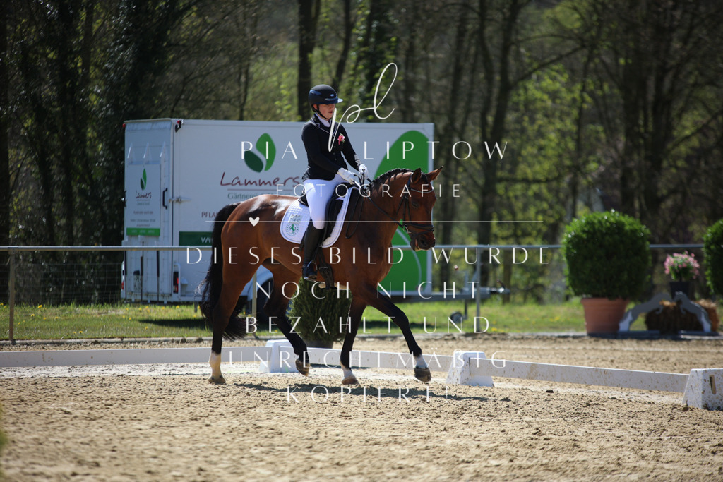 IMGT1152 | pl-fotografie