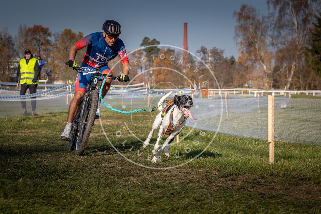 CaniXpix_0L8A6585 | Hundefotografie, Tierfotograf, Pfotenfotografie, Fotoshooting Hund, Hunde Portrait, Hundesport, Hundeportraits, Heideshooting, Hunde, Sportfotograf, Hundefotograf, Turnierhundsport, THS,  - Realisiert mit Pictrs.com