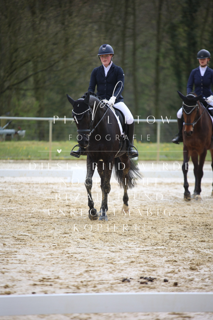 IMGT3026 | pl-fotografie