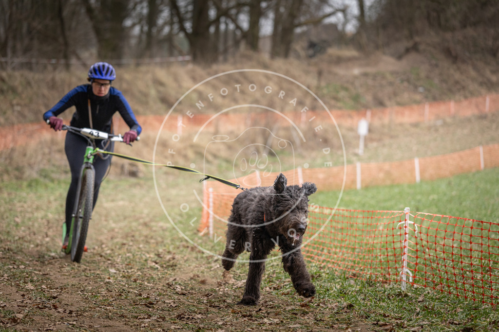 Pfotenfotografie_DV3A6599 | Hundefotografie, Tierfotograf, Pfotenfotografie, Fotoshooting Hund, Hunde Portrait, Hundesport, Hundeportraits, Heideshooting, Hunde, Sportfotograf, Hundefotograf, Turnierhundsport, THS,  - Realisiert mit Pictrs.com