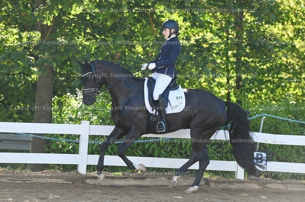 20230715_06_Dressurpferdeprfg. Kl.A_0263 | equistock