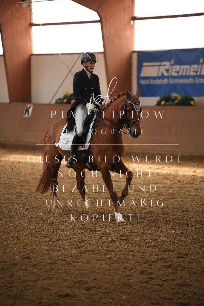 IMGT4619 | pl-fotografie