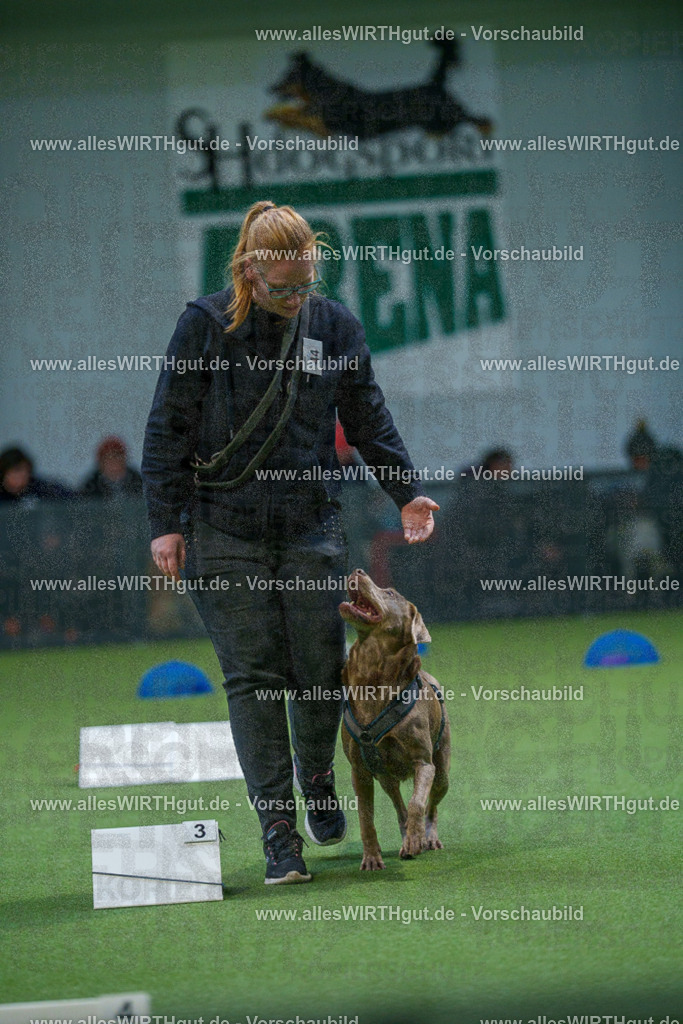 7R501292 | Professionelle Tierfotografie in Mönchengladbach von Daniel Wirth (allesWIRTHgut). Liebevolle & natürliche Bilder von Hunden & Katzen für unvergessliche Erinnerungen.