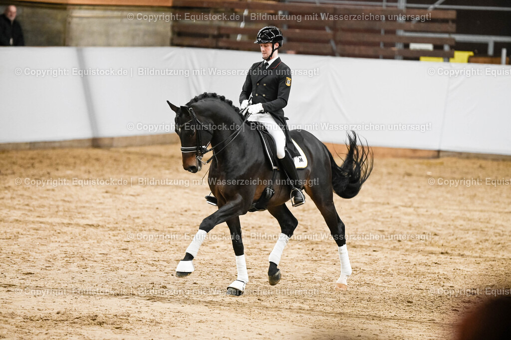 20260307_Hengstvorstellung-Marbach_0191 | equistock