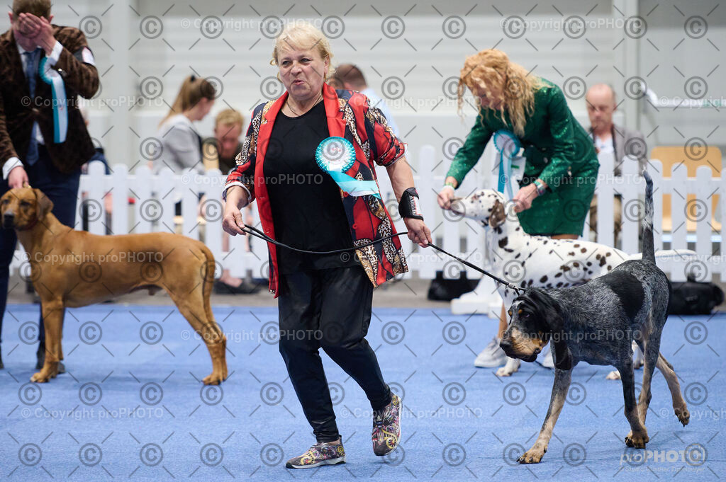 202406_ÖKV-IHA-Tulln24_DSC_3093 | proPHOTO - Realisiert mit Pictrs.com