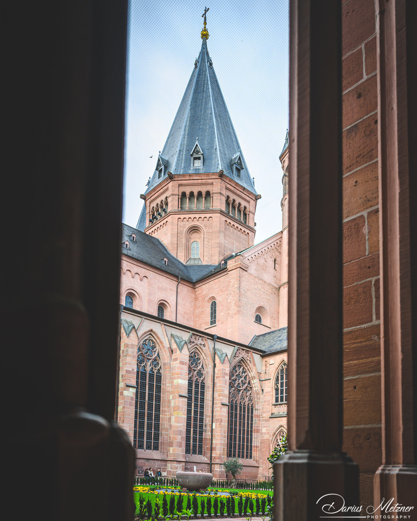 Der Hohe Dom St. Martin zu Mainz | Der Hohe Dom St. Martin zu Mainz