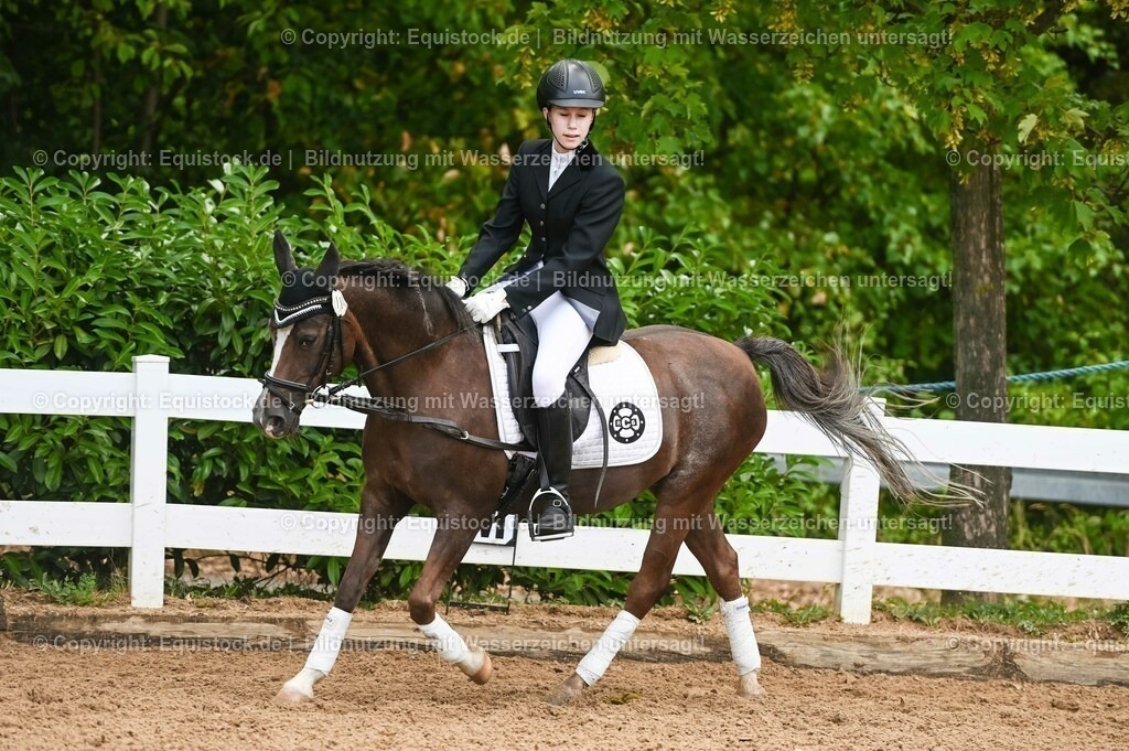 20230716_10-2_Reiter-WB Schritt - Trab - Galopp_0090 | equistock