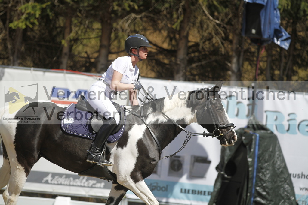 _MG_6672 | equestrian-live-com