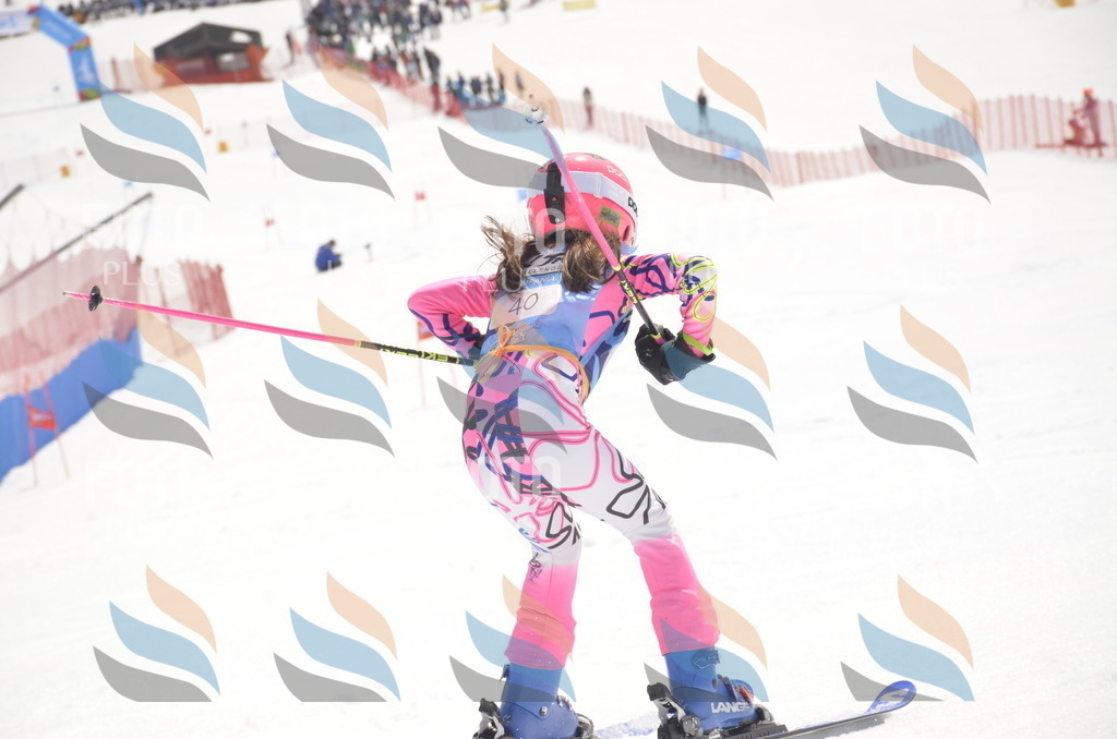 _ELE8710 | holidayphoto