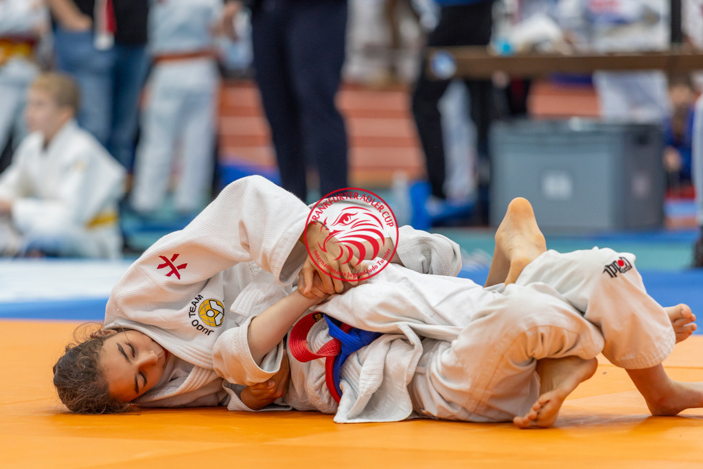 Internationaler Adler Cup 2024 | Foto vom Internationalen Adler Cup Judo Turnier im Sport- und Freizeitzentrum Kalbach im Oktober 2024 - Realisiert mit Pictrs.com