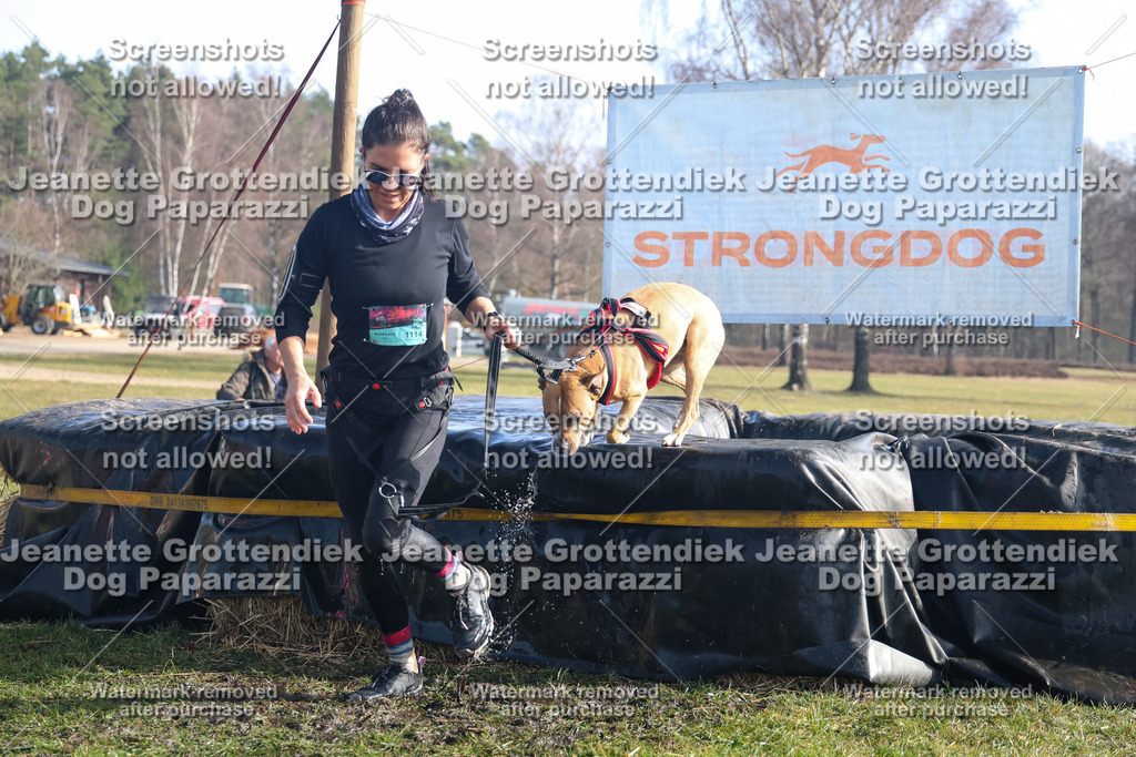 Dog Paparazzi - Strongdog North Mrz26-1198 | Dog Paparazzi Jeanette Grottendiek Fotografie & Videografie - Realisiert mit Pictrs.com