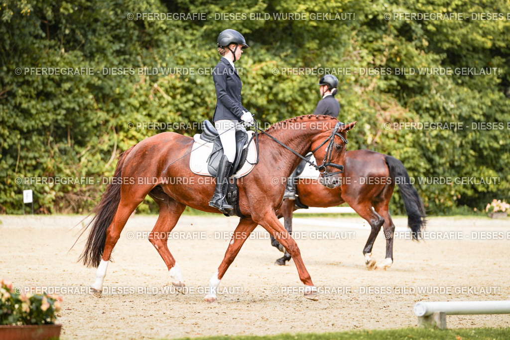 DSC03441 | Pferdegrafie