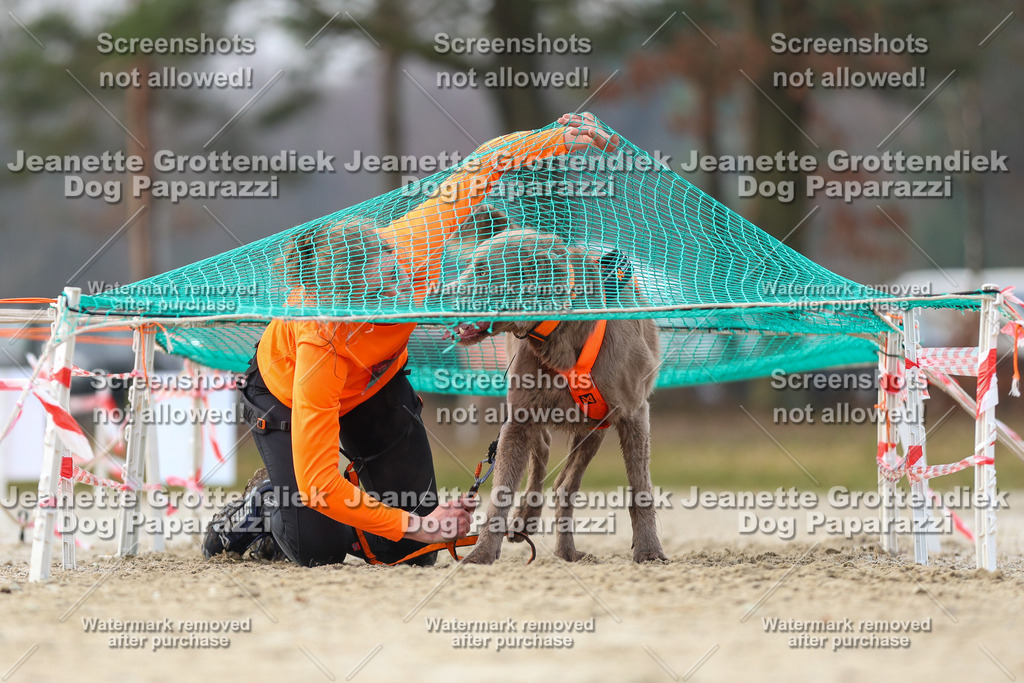 Dog Paparazzi - Strongdog North Mrz26-4244 | Dog Paparazzi Jeanette Grottendiek Fotografie & Videografie - Realisiert mit Pictrs.com