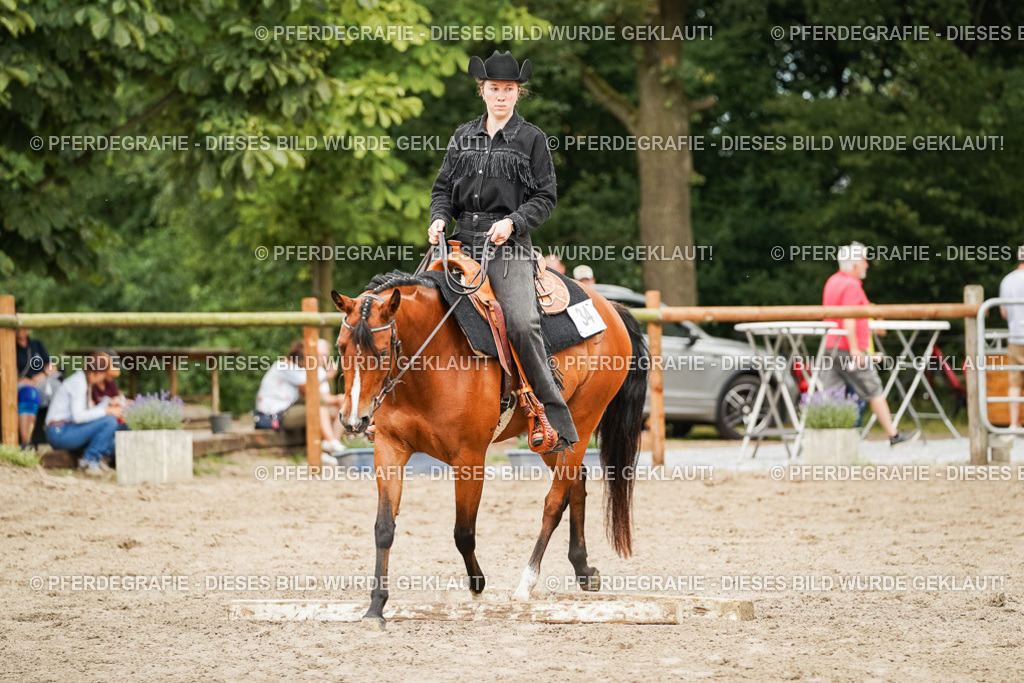 DSC08264 | Pferdegrafie