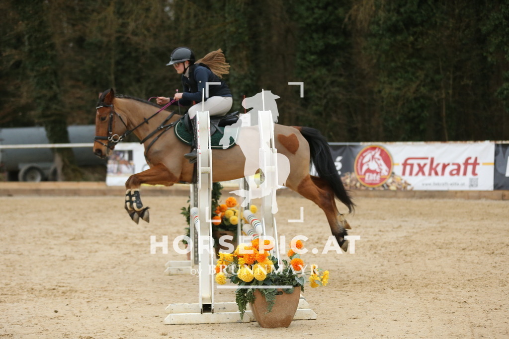 DL2Q5114 | Willkommen bei Brunnmayr - Design & Fotografie – Ihrem Spezialisten für Reitturniere und Pferdeveranstaltungen in Oberösterreich, Salzburg und Bayern! Seit über 17 Jahren sind wir leidenschaftlich dabei.