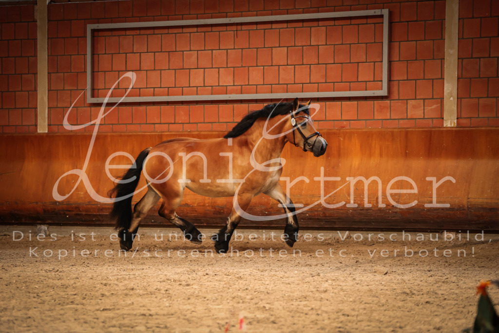 SaFL00190 | Leoni Ertmer Photography - Realisiert mit Pictrs.com