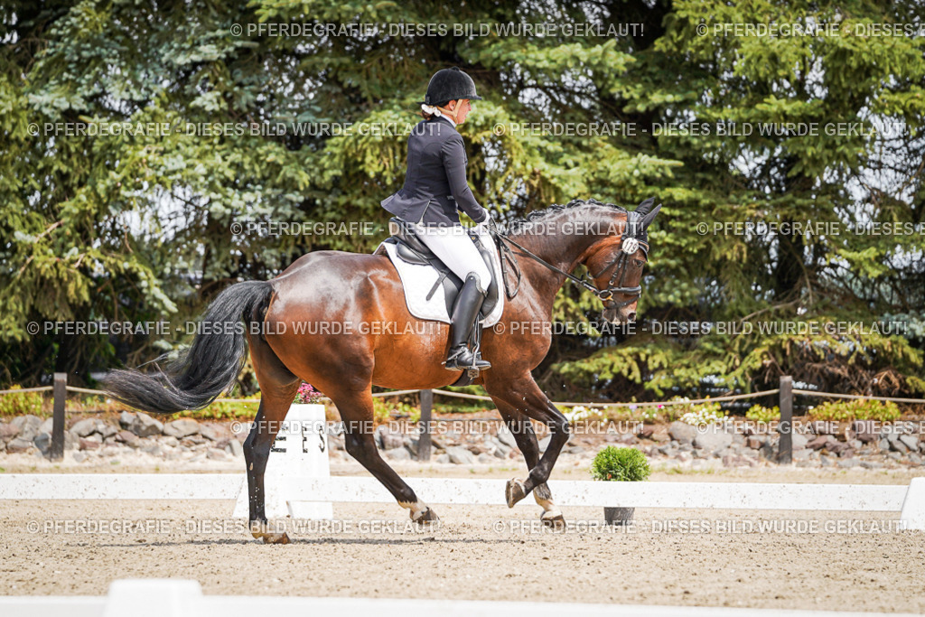 DSC02131 | Pferdegrafie