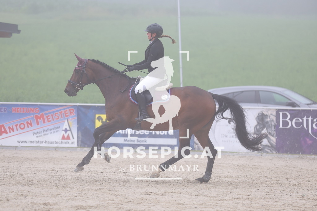 0P6A7608 | Willkommen bei Brunnmayr - Design & Fotografie – Ihrem Spezialisten für Reitturniere und Pferdeveranstaltungen in Oberösterreich, Salzburg und Bayern! Seit über 17 Jahren sind wir leidenschaftlich dabei.