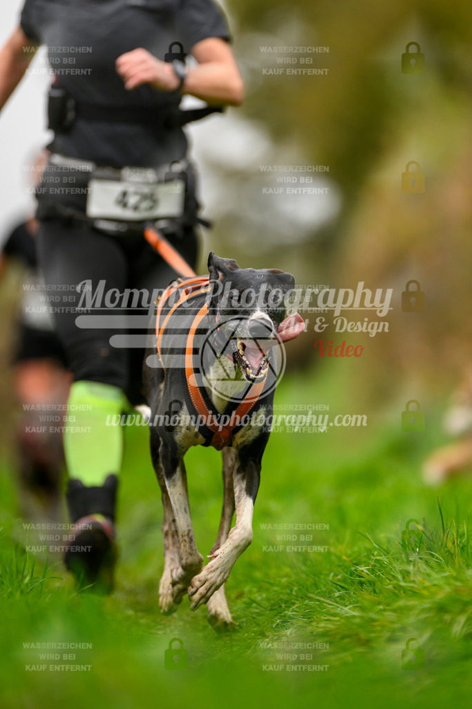MompixPhotography_20TSB_E8_Run-62 | PayLife