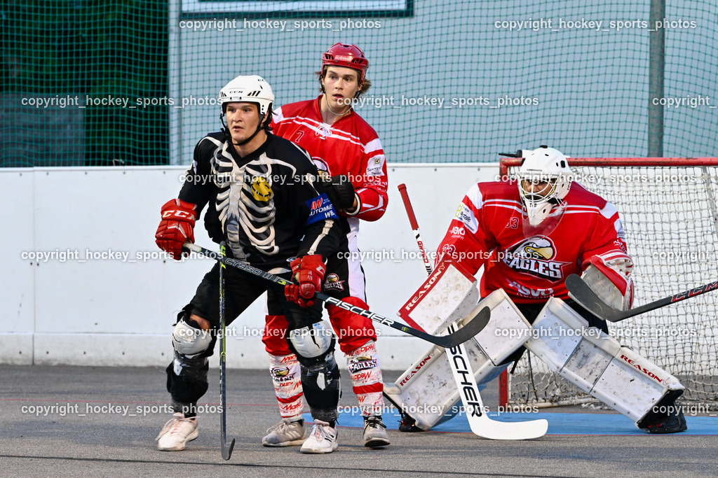 Team Zehenthof vs. HSC Eagles 7.7.2023 | #1 Kravanja Kristian, #7 Van EE Fin, #33 Mette Claudio