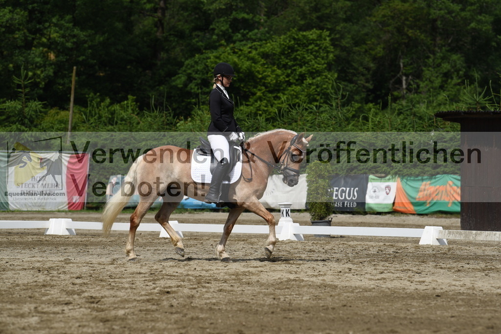 DSC_8511 | equestrian-live-com