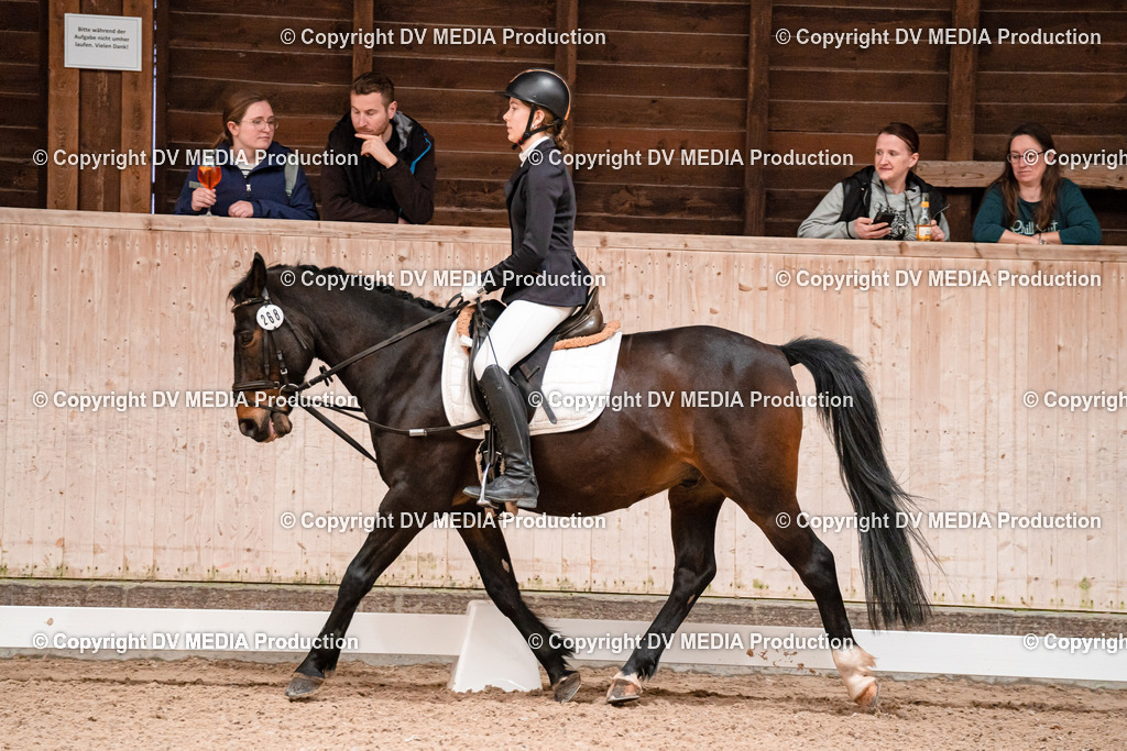 Dressur Tag 2-591 | dv-media-shop - Realisiert mit Pictrs.com