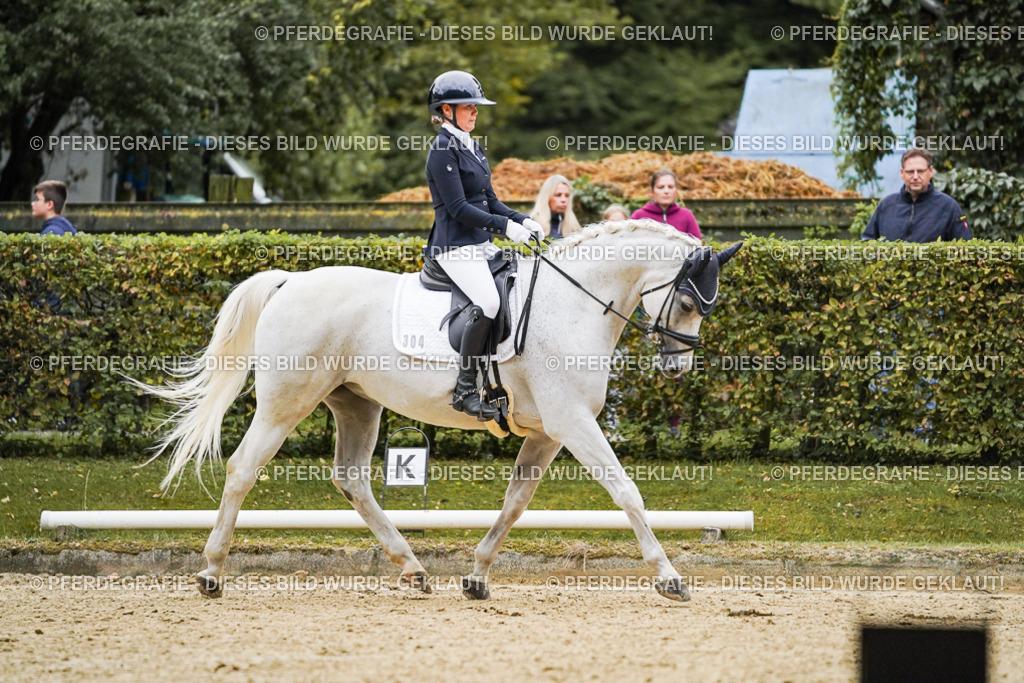 DSC06568 | Pferdegrafie