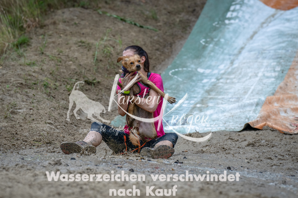 1250_ZZ90443-Bearbeitet | kk-dogfotos