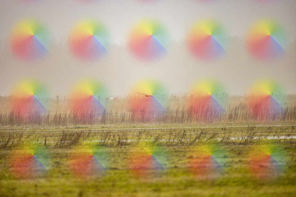 1M5A0170 | FineArtPrint, Hahnemühle, FeeGalerie, Fee Galerie, Fotokunst, Fotografie, Canonphotography, Bergfoto, Matterhorn, Rimpfischhorn, Allalinhorn, Saas-Fee, Wallis, Valais, Switzerland, Bergfotografie