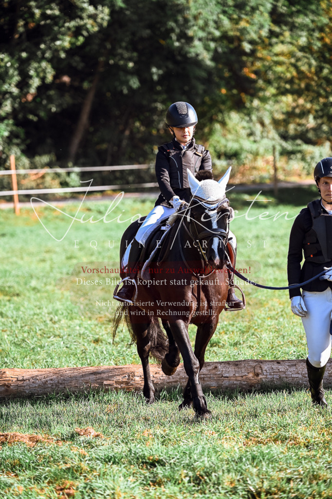 DSC_0357 | Pferde- und Turnierfotografie in Westsachsen. Pferdeportraits, Auftragszeichnungen und intuitive Kunst.