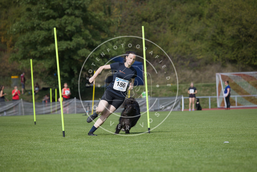 0L8A3392 | Hundefotografie, Tierfotograf, Pfotenfotografie, Fotoshooting Hund, Hunde Portrait, Hundesport, Hundeportraits, Heideshooting, Hunde, Sportfotograf, Hundefotograf, Turnierhundsport, THS,  - Realisiert mit Pictrs.com