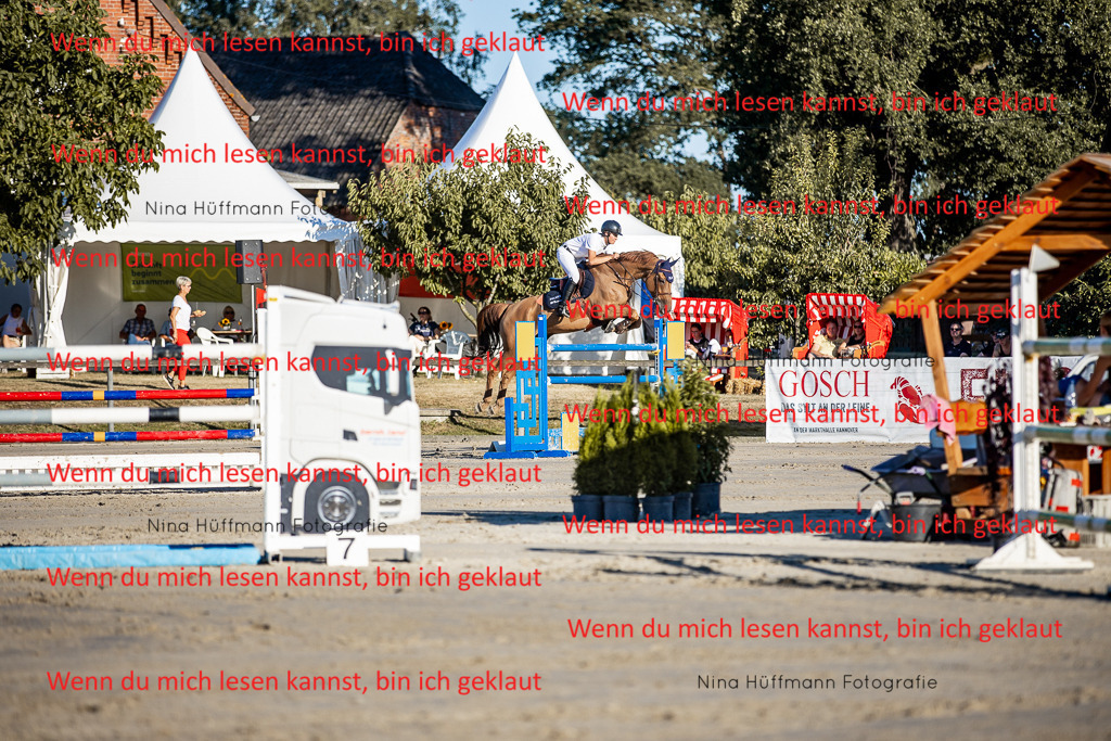 BK1A8380 | Turnierbilder Turnierfotos Nina Hüffmann Turnierfotografie Pferdefotografie Tierzeichnung Haustierzeichnung Pferdezeichnung Hundezeichnung Videograf  - Realisiert mit Pictrs.com