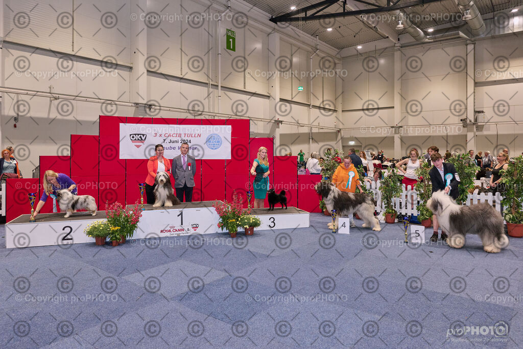 202406_ÖKV-IHA-Tulln24_NZ9_7810 | proPHOTO - Realisiert mit Pictrs.com