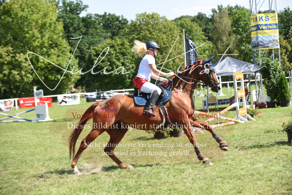 DSC_0336 | Pferde- und Turnierfotografie in Westsachsen. Pferdeportraits, Auftragszeichnungen und intuitive Kunst.