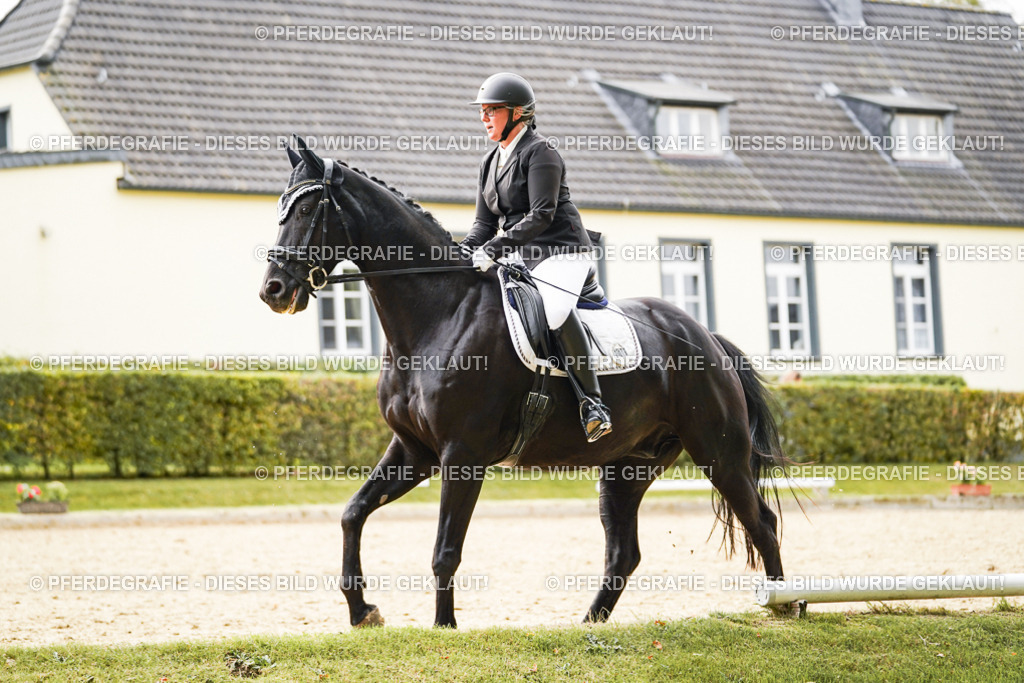 DSC01192 | Pferdegrafie