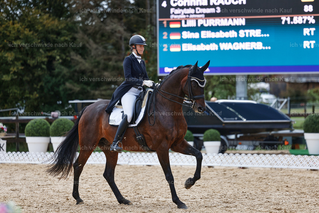 8_2-088-DRESSUR S_  -StoibPH-4447 | working equitationturnier fotograf videograf stoibphotography marixx film working equitation deutschland reitsport turnierfotografie eventfotografie equestrian events