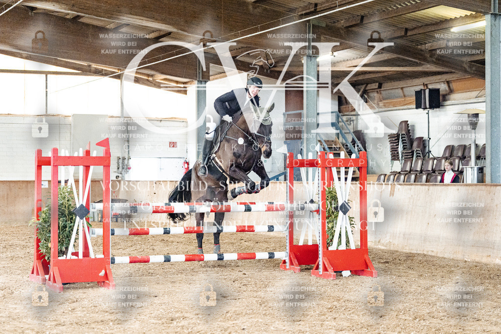 CK906197 | Turnierfotografie Pferdefotografie Trier Rheinland-Pfalz Pferdesport Reitsport Tierfotografie Sportfotografie Pferdevideo Pferdevideografie Equestrianvideography equestrianphotography  - Realisiert mit Pictrs.com