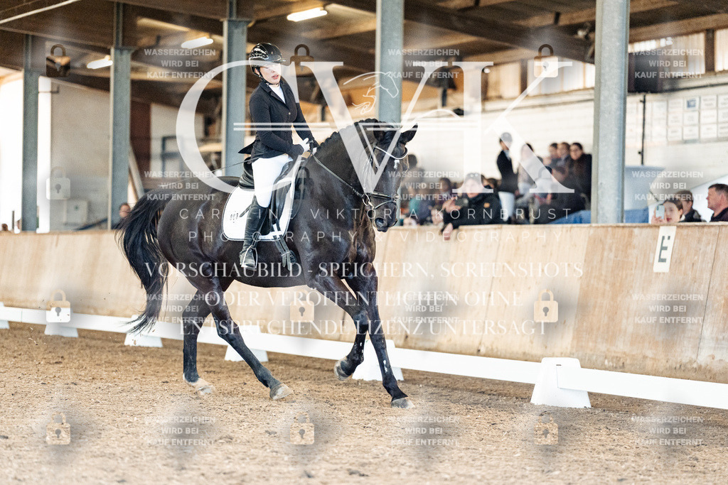 CK909533 | Turnierfotografie Pferdefotografie Trier Rheinland-Pfalz Pferdesport Reitsport Tierfotografie Sportfotografie Pferdevideo Pferdevideografie Equestrianvideography equestrianphotography  - Realisiert mit Pictrs.com