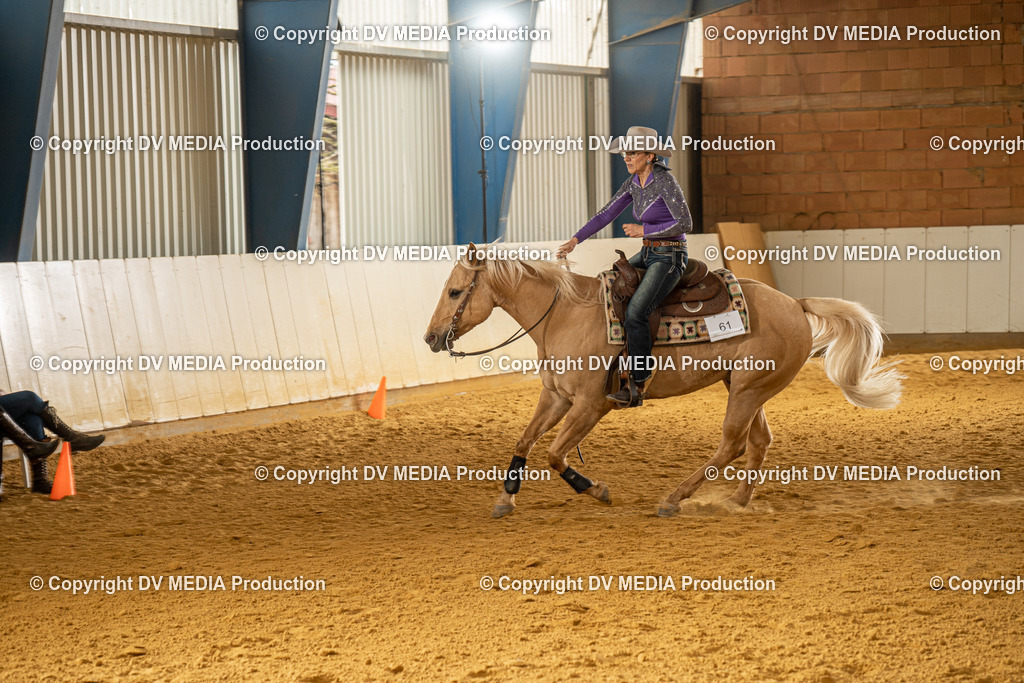 MIT01358 | dv-media-shop - Realisiert mit Pictrs.com