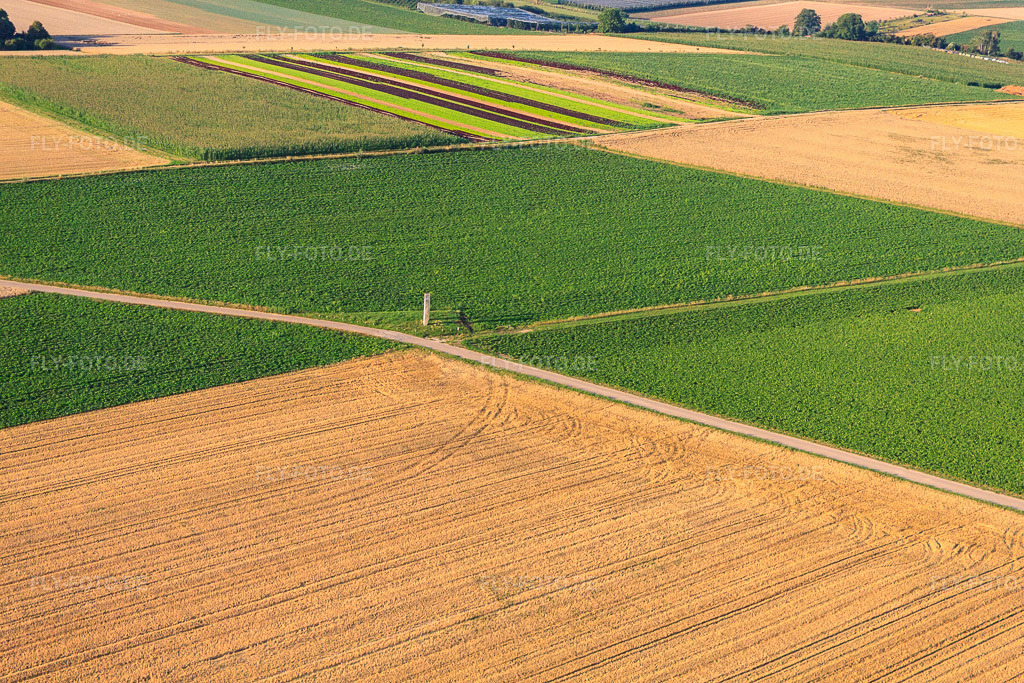 Luftbild: Stehlen am Pfälzer Panoramabänkel in Herxheim bei Landau im Bundesland Rheinland-Pfalz in Deutschland. Foto: IMG_70197.jpg vom 19.07.2014 durch Werner Riehm/FLY-FOTO.de
