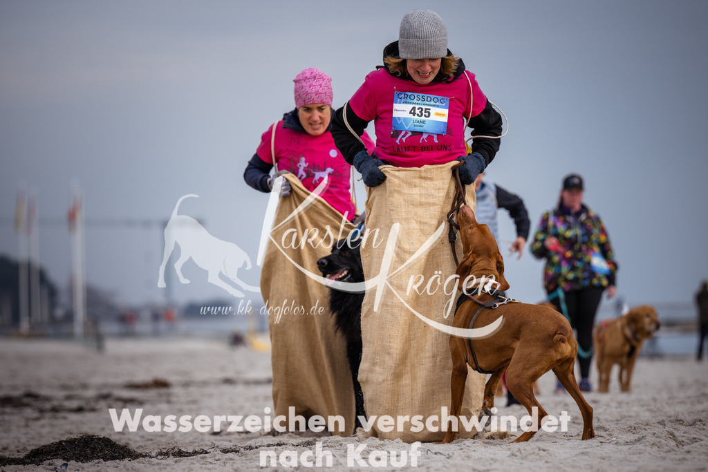 1251_ZZ96212 | kk-dogfotos