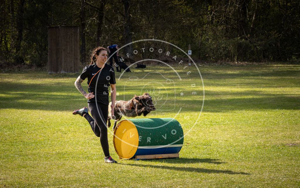 Pfotenfotografie_DV3A3013 | Hundefotografie, Tierfotograf, Pfotenfotografie, Fotoshooting Hund, Hunde Portrait, Hundesport, Hundeportraits, Heideshooting, Hunde, Sportfotograf, Hundefotograf, Turnierhundsport, THS,  - Realisiert mit Pictrs.com