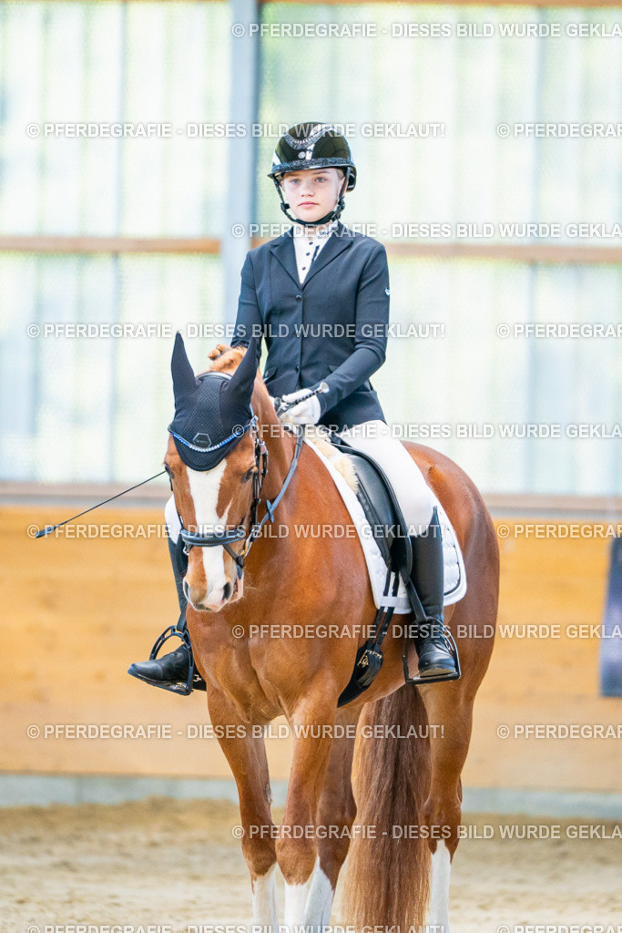 DSC06790 | Pferdegrafie